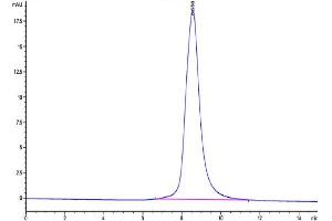 Size-exclusion chromatography-High Pressure Liquid Chromatography (SEC-HPLC) image for Leukocyte Immunoglobulin-Like Receptor, Subfamily B (With TM and ITIM Domains), Member 5 (LILRB5) (AA 18-456) protein (His-Avi Tag,Biotin) (ABIN7275194)