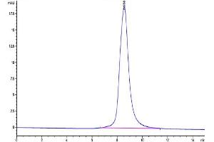 The purity of Biotinylated Human LILRB5 is greater than 95 % as determined by SEC-HPLC. (LILRB5 Protein (AA 18-456) (His-Avi Tag,Biotin))