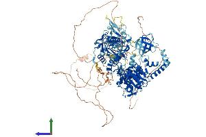 Protein Structure (PS) image for UPF1 Regulator of Nonsense Transcripts Homolog (UPF1) (AA 1-1129) protein (His tag) (ABIN7555191)