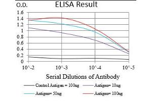 Black line: Control Antigen (100 ng), Purple line: Antigen(10 ng), Blue line: Antigen (50 ng), Red line: Antigen (100 ng), (PTPN1 Antikörper  (AA 40-246))
