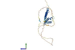 Protein Structure (PS) image for Ha-Ry/enhancer-of-Split Related with YRPW Motif 1 (HEY1) (AA 1-299) protein (His tag) (ABIN7565235)