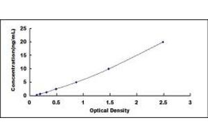 Typical standard curve (CEMP1 ELISA Kit)