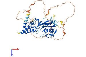 SMAD7 Protein (AA 1-426) (His tag)
