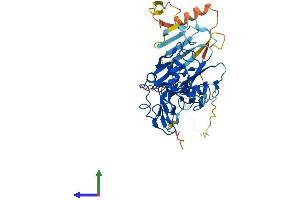 Protein Structure (PS) image for A Disintegrin and Metallopeptidase Domain 5 (ADAM5) (AA 1-412) protein (His tag) (ABIN7551904)