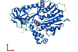 Protein Structure (PS) image for NOP2/Sun Domain Family, Member 6 (NSUN6) (AA 1-469) protein (His tag) (ABIN7549850)