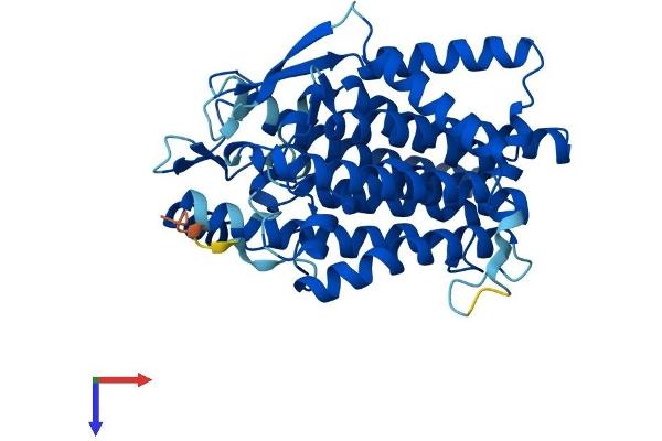 TM7SF2 Protein (AA 1-418) (His tag)