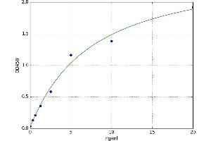 A typical standard curve