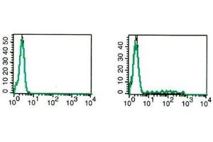 Flow Cytometry (FACS) image for anti-Interleukin 17A (IL17A) antibody (PE) (ABIN1107810) (Interleukin 17a Antikörper  (PE))