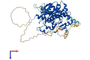 HSPBAP1 Protein (AA 1-483) (His tag)