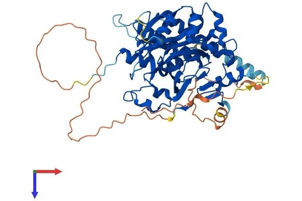 HSPBAP1 Protein (AA 1-483) (His tag)