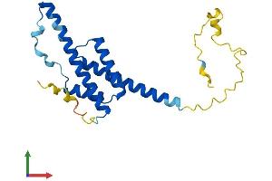 RD3 Protein (AA 1-195) (His tag)
