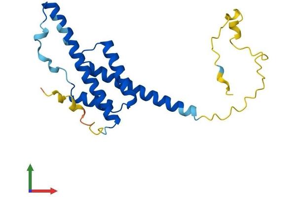 RD3 Protein (AA 1-195) (His tag)