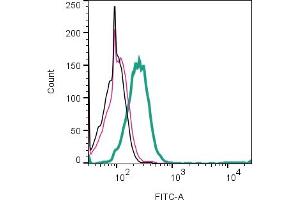 Cell surface detection of Robo2 by indirect flow cytometry in live intact human  monocytic leukemia cell line: + goat-anti-rabbit-FITC.
