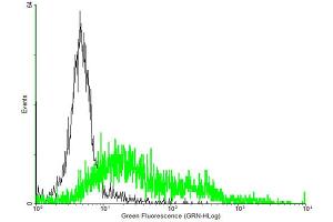 FACS analysis of negative control 293 cells (Black) and NPY5R expressing 293 cells (Green) using NPY5R purified MaxPab mouse polyclonal antibody. (NPY5R Antikörper  (AA 1-445))