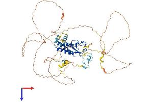 MSL2 Protein (AA 1-577) (His tag)