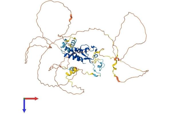 MSL2 Protein (AA 1-577) (His tag)