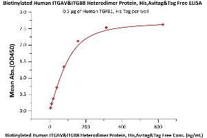 Immobilized Human TGFB1, His Tag (ABIN4949126,ABIN4949127) at 5 μg/mL (100 μL/well) can bind Biotinylated Human ITGAV&ITGB8 Heterodimer Protein, His,Avitag&Tag Free (ABIN6253195,ABIN6253521) with a linear range of 5-156 ng/mL (QC tested). (ITGAV/ITGB8 Protein (AA 31-992) (His tag,AVI tag,Biotin))