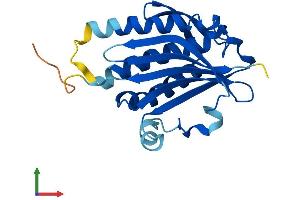 Protein Structure (PS) image for MAD2 Mitotic Arrest Deficient-Like 2 (MAD2L2) (AA 1-211) protein (His tag) (ABIN7554529)