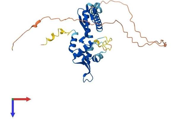 MAGEA3 Protein (AA 1-314) (His tag)