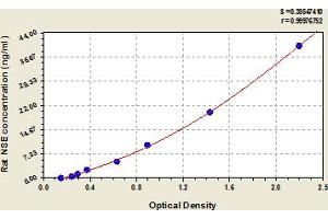 Enolase 2 (Gamma, Neuronal) (ENO2) ELISA Kit