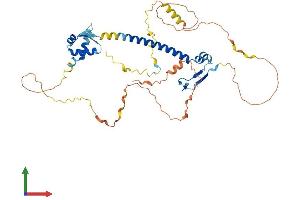 Protein Structure (PS) image for E2F Transcription Factor 1 (E2F1) (AA 1-430) protein (His tag) (ABIN7563917)