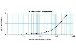 Image no. 2 for anti-Cardiotrophin 1 (CTF1) antibody (ABIN465486) (Cardiotrophin 1 Antikörper)
