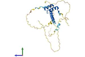 Protein Structure (PS) image for Caudal Type Homeobox 1 (CDX1) (AA 1-265) protein (His tag) (ABIN7553229)