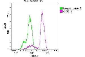 Overlay histogram showing Hela cells stained with ABIN7127434 (red line) at 1:50. (Rekombinanter PTGS1 Antikörper)