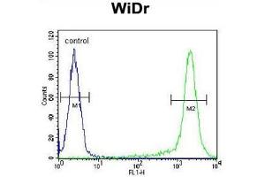 AMAC1L2 Antibody (N-term) flow cytometric analysis of WiDr cells (right histogram) compared to a negative control cell (left histogram). (AMAC1L2 Antikörper  (N-Term))