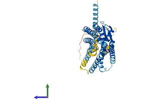 AlphaFold protein structure predicition of Human Recombinant ACKR3 Protein, UniprotID P25106