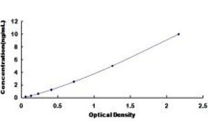 Typical standard curve (HSD17B10 ELISA Kit)