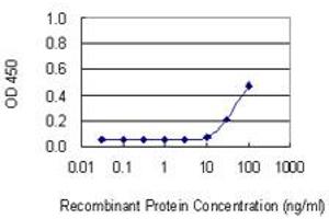Detection limit for recombinant GST tagged FBXO40 is 10 ng/ml as a capture antibody.