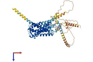 GPR161 Protein (AA 1-529) (His tag)