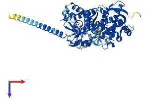 CYP4V2 Protein (AA 1-525) (His tag)