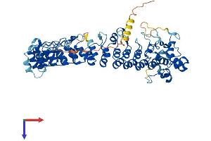ASB14 Protein (AA 1-587) (His tag)
