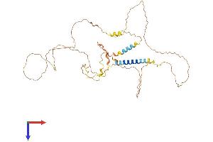 AJAP1 Protein (AA 1-412) (His tag)