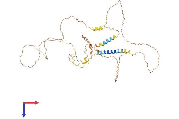 AJAP1 Protein (AA 1-412) (His tag)