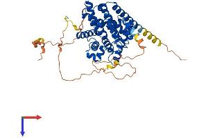 PDE7A Protein (AA 1-482) (His tag)