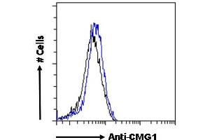 ABIN6391342 Flow cytometric analysis of paraformaldehyde fixed U251 cells (blue line), permeabilized with 0.
