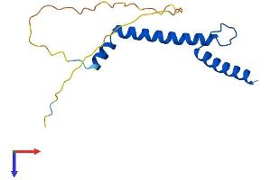NHLH2 Protein (AA 1-135) (His tag)
