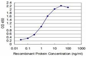 Detection limit for recombinant GST tagged T is approximately 0. (T Brachyury Protein (AA 222-320) Antikörper)