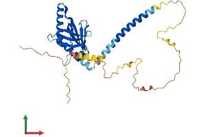 Protein Structure (PS) image for GULP, Engulfment Adaptor PTB Domain Containing 1 (GULP1) (AA 1-304) protein (His tag) (ABIN7559496)