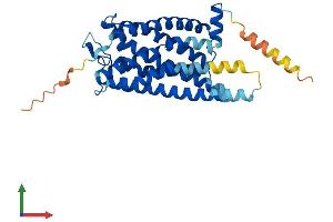 Protein Structure (PS) image for Purinergic Receptor P2Y, G-Protein Coupled, 14 (P2RY14) (AA 1-338) protein (His tag) (ABIN7550337)