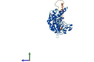 Protein Structure (PS) image for Heparan Sulfate (Glucosamine) 3-O-Sulfotransferase 5 (HS3ST5) (AA 1-346) protein (His tag) (ABIN7558855)