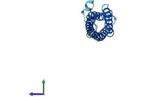 AlphaFold protein structure predicition of Mouse Recombinant Mall Protein, UniprotID Q91X49 (Mal, T-Cell Differentiation Protein-Like (Mall) (AA 1-154) protein (His tag))
