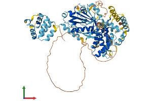 AlphaFold protein structure predicition of Human Recombinant NLRP10 Protein, UniprotID Q86W26