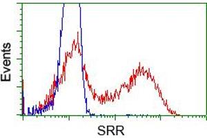 Flow Cytometry (FACS) image for anti-Serine Racemase (SRR) antibody (ABIN1501137) (SRR Antikörper)