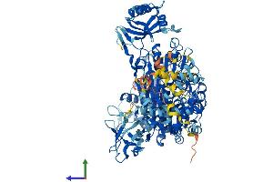 AlphaFold protein structure predicition of Human Recombinant UBA7 Protein, UniprotID P41226 (UBA7 Protein (AA 1-1012) (His tag))