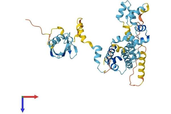 UBAC1 Protein (AA 1-409) (His tag)