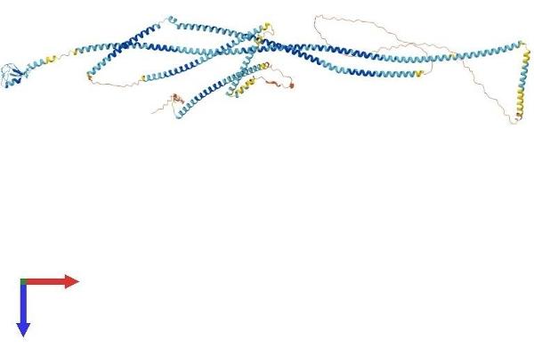 RNF40 Protein (AA 1-1001) (His tag)
